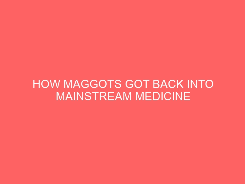 How Maggots Got Back Into Mainstream Medicine